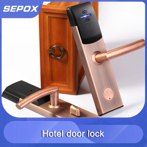 Smart Door Lock YDDL-0059
