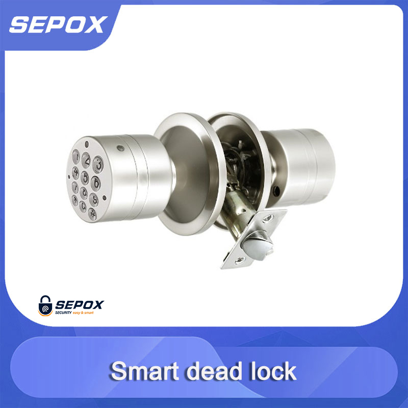 Smart Door Lock YDDL-0027