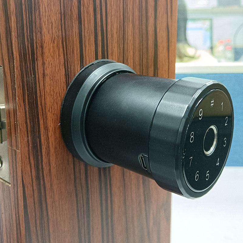 Smart Door Lock YDDL-0028