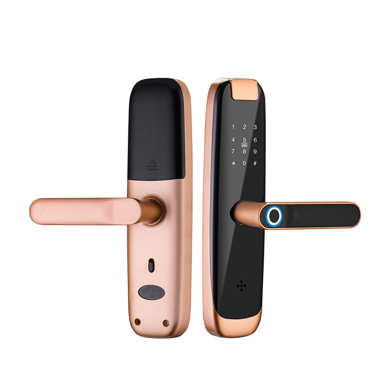 Smart Door Lock -YDDL-0124